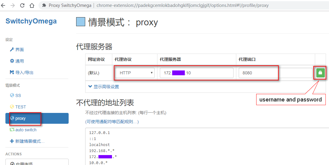 Chrome proxy